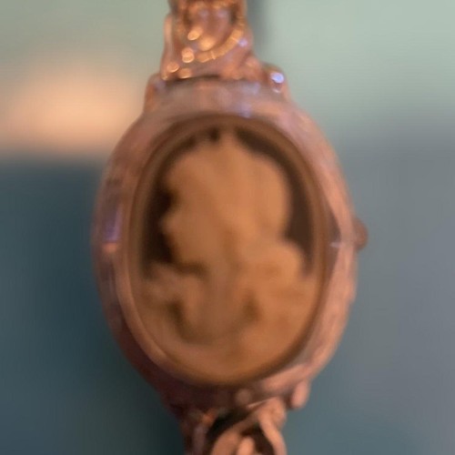Working valentino michel cameo - michel,