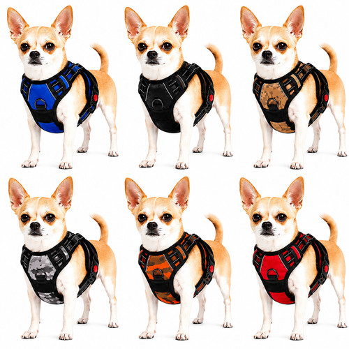 Puppy harness with chest - harness, strap