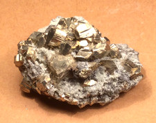 Pyrite with Chalcopyrite