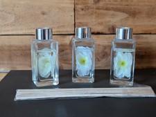 3 X NEXT White Jasmine ,White