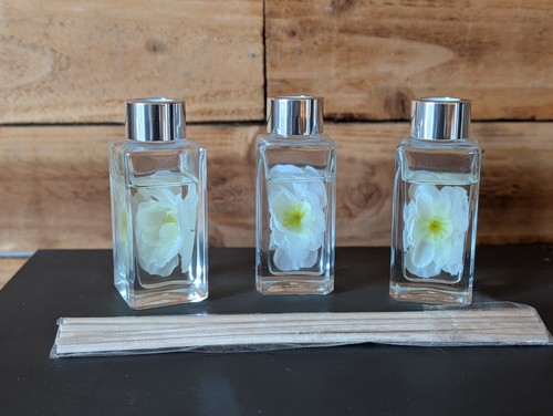 Next white jasmine - 3, x