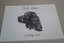 PHONE CARD IRISH SETTER LIMITED ED - 404/500 IN FOLDER-NO. 2