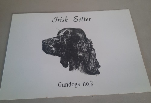 Phone card irish - phone, setter