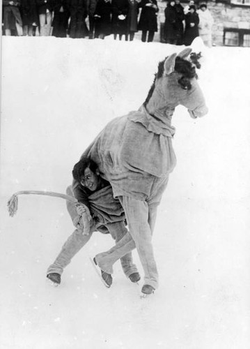Pantomime horse ice - on, at