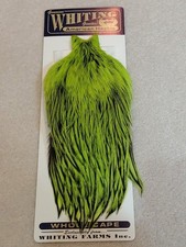 Whiting Amer. Rooster Cape