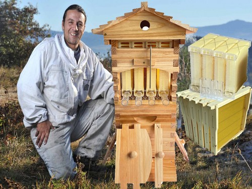 Auto honey bee hives - auto,