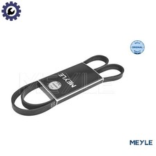 VRIBBED BELT 050 005 1546 FOR