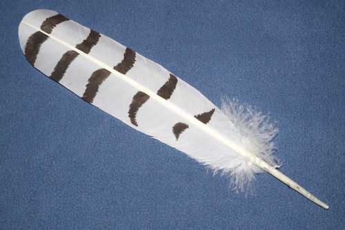 Native american hand painted - native,