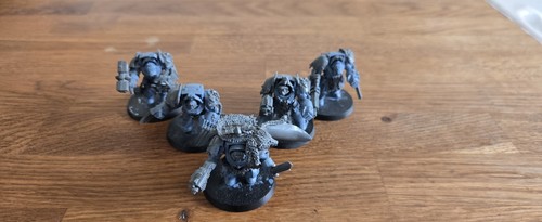 Space marine wolves - marine,