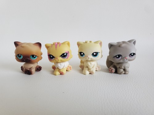 Persian cats pet shop - cats,