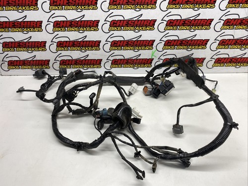 Kawasaki bx 250 afsa - sl,