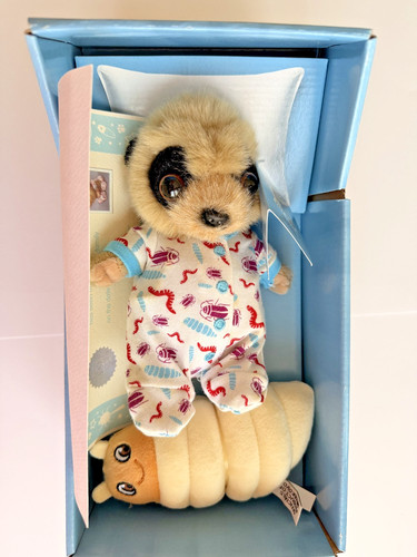 Baby oleg meerkat - meerkat, with