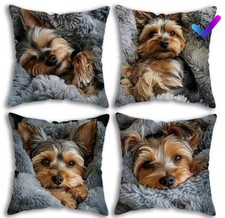 YORKSHIRE TERRIER Puppy Dog