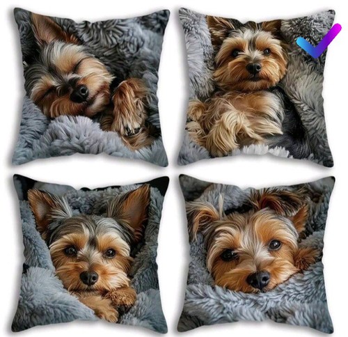 Yorkshire terrier puppy dog - terrier,