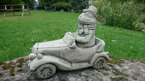 Stone garden toad - garden, on