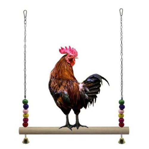 Chicken swing perch exercise - swing,