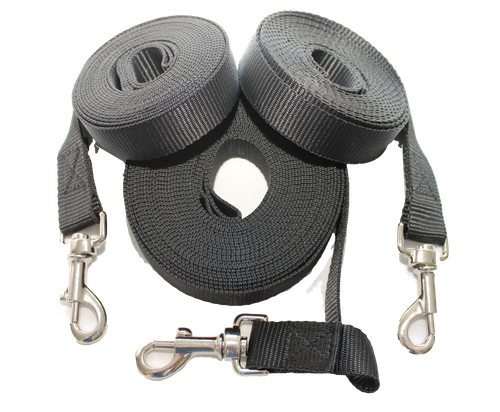 Horse lunge line - horse, reins