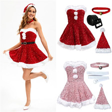 Mrs Santa Fancy Dress Glitter