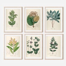 Antique￼ Repro￼ FLORAL