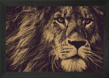 Lion King Framed Wall Art