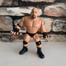 WWF WCW Hasbro Custom
