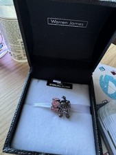 Warren James Silver Charm