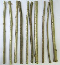 10x 40cm Natural English Hazel Wood Sticks | Rustic Craft Branches with Bark