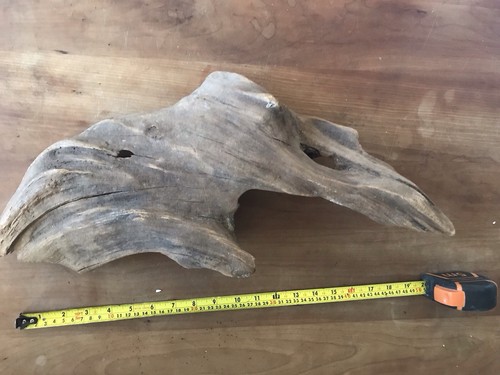 Large beautiful unique - large,