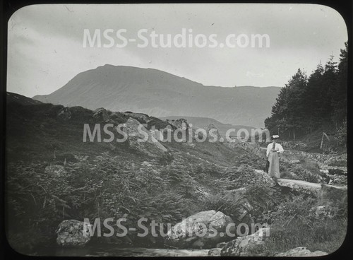 Edwardian lady near tyrau - lady,