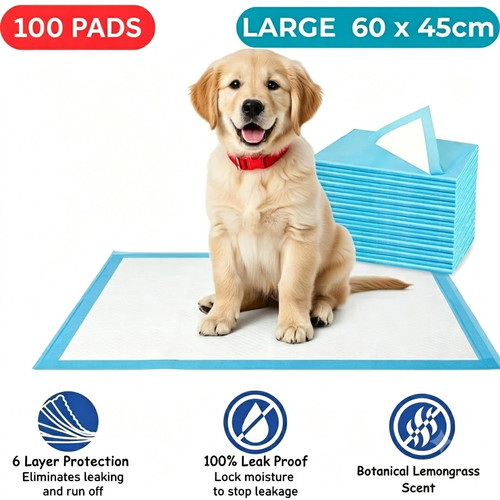100 large puppy - 100, training