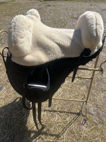 Barefoot treeless horse - barefoot, saddle