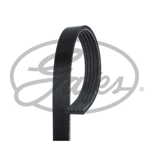 Rib multi drive belt - rib,
