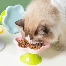 Ceramic Raised Cat Bowl With