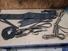 Lunging Joblot,Full Size