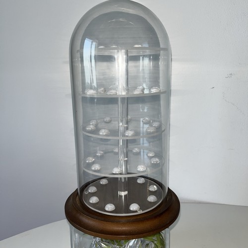 Glass thimble display - glass,