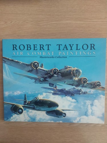 Air combat paintings - combat,
