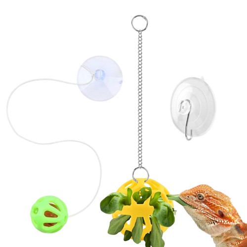 Suction cup bearded dragon - cup,