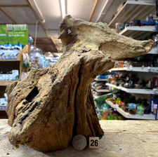 Derwen Oak Bogwood 21-42cm