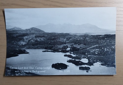 Real photo postcard canisp - photo, postcard: