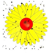 Fly Catcher Insect Trap Killer