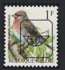 Redpoll Bird 'Sizerin Flamme'