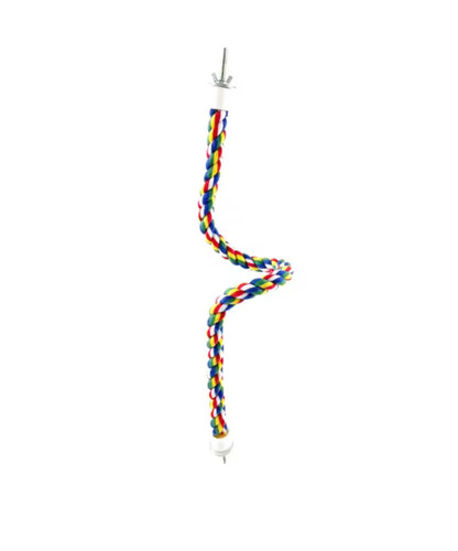 Colorful bird perch - colorful,
