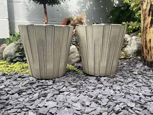 Pair garden plant - plant, outdoor