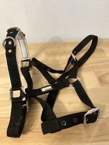 Roma full size lunge cavesson - size,