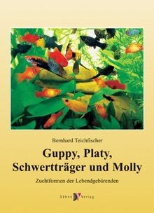 Guppy platy schwertträger - platy,,