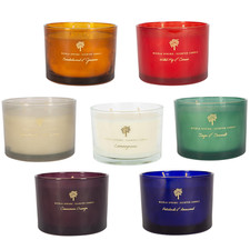 350g Scented Candles Natural Soy Wax Aromatic Home Fragrance 2 Wick Gift Candle