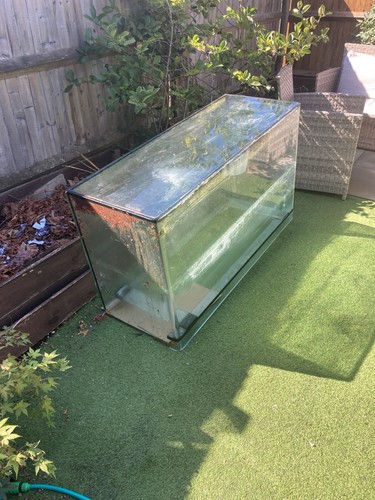 Large 250l fish - large,