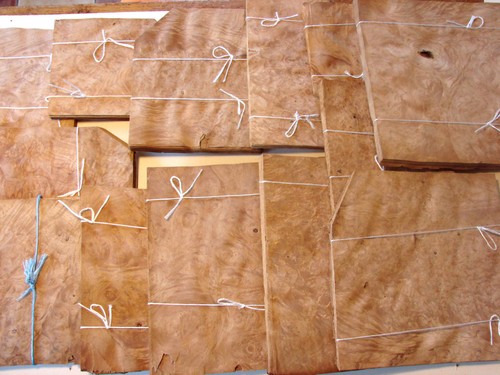 Sweet chestnut burr burl - sweet,
