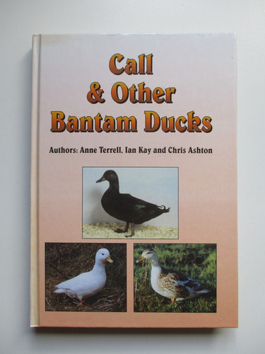 1998 1st call other - call,