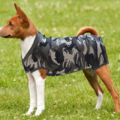 Dog recovery suit abdominal - dog,